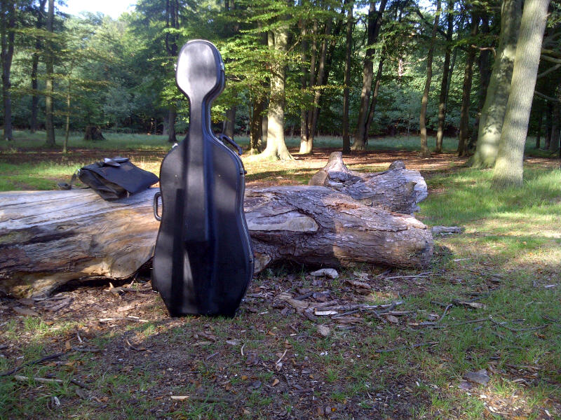 Cellokoffer In Het Bos